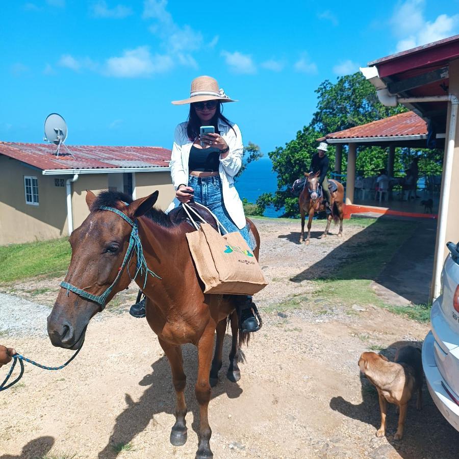 Rancho Juancho Hotel Portobelo Kültér fotó