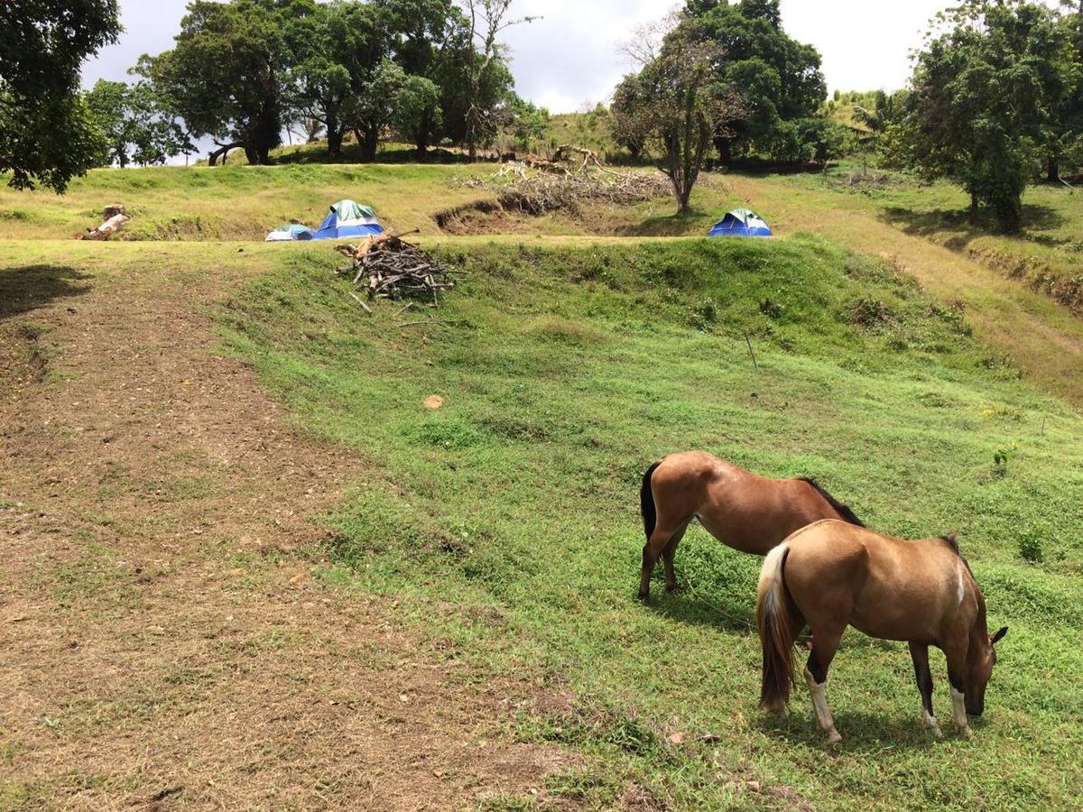 Rancho Juancho Hotel Portobelo Kültér fotó
